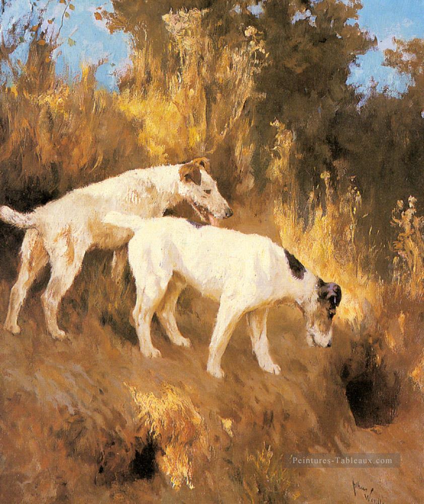 Terriers sur le parfum Arthur Wardle Chien Peintures à l'huile